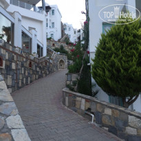 фото из отзыва ID 1765123