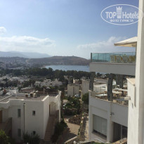 фото из отзыва ID 1765123