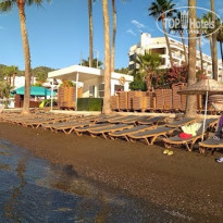 фото из отзыва ID 1765491