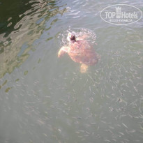 фото из отзыва ID 1765491