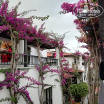 фото из отзыва ID 1765551