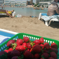 фото из отзыва ID 1765637