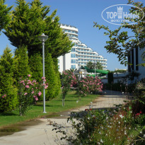 фото из отзыва ID 1765682