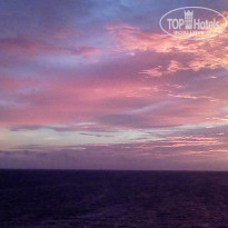 фото из отзыва ID 1765690