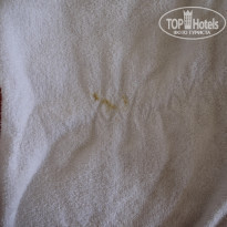 фото из отзыва ID 1765731