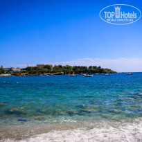 фото из отзыва ID 1765824