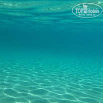 фото из отзыва ID 1766033