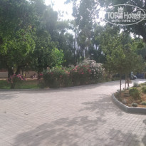 фото из отзыва ID 1766081