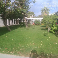 фото из отзыва ID 1766081