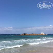 фото из отзыва ID 1766085