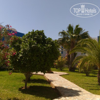 фото из отзыва ID 1765872