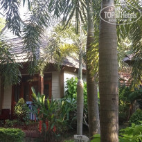 фото из отзыва ID 1766191