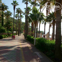 фото из отзыва ID 1766192