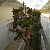 фото из отзыва ID 1766389