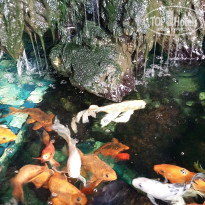 фото из отзыва ID 1766392