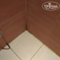 фото из отзыва ID 1766483