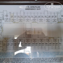 фото из отзыва ID 1766486