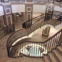 фото из отзыва ID 1766567