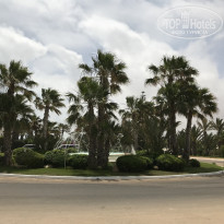 фото из отзыва ID 1766512