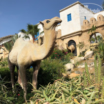 фото из отзыва ID 1766597