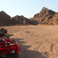 фото из отзыва ID 1766618