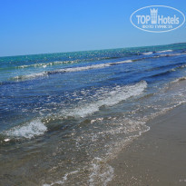 фото из отзыва ID 1766802