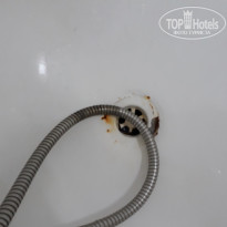 фото из отзыва ID 1766779