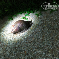 фото из отзыва ID 1766872