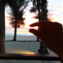 фото из отзыва ID 1766872