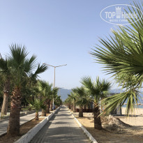 фото из отзыва ID 1767044