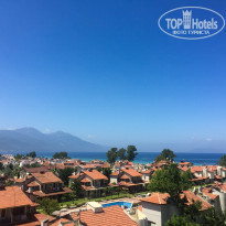 фото из отзыва ID 1767044