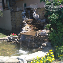 фото из отзыва ID 1767050