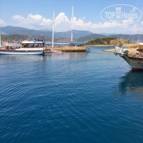 фото из отзыва ID 1767119