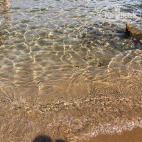 фото из отзыва ID 1767261