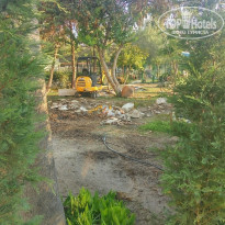 фото из отзыва ID 1767288