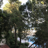 фото из отзыва ID 1767398