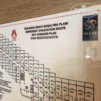 фото из отзыва ID 1767398