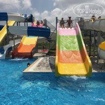 фото из отзыва ID 1767436