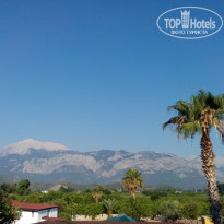 фото из отзыва ID 1767496