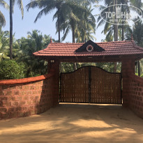 фото из отзыва ID 1767551