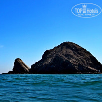 фото из отзыва ID 1766880