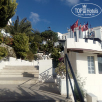 фото из отзыва ID 1767352