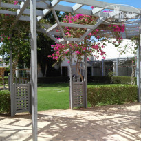 фото из отзыва ID 1766785