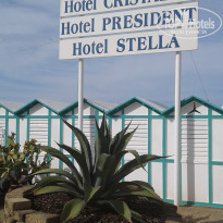 фото из отзыва ID 1767840