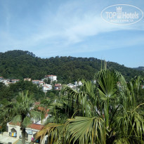 фото из отзыва ID 1767927