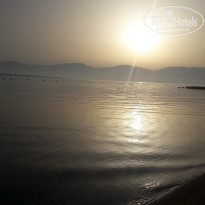 фото из отзыва ID 1767984