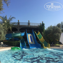 фото из отзыва ID 1768031