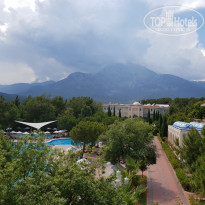 фото из отзыва ID 1768137