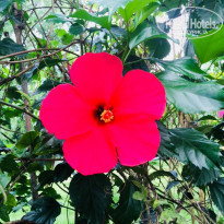 фото из отзыва ID 1764133