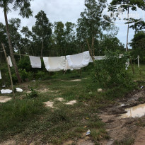 фото из отзыва ID 1764133